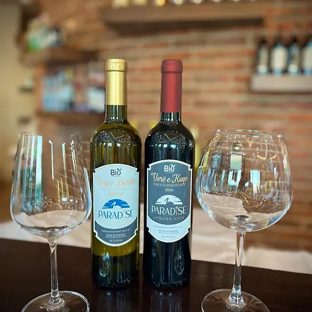 Paradise Laguna Vain Szálloda *