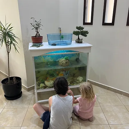 Paradise Laguna Vain