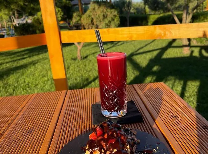 Paradise Laguna Vain Hotel *